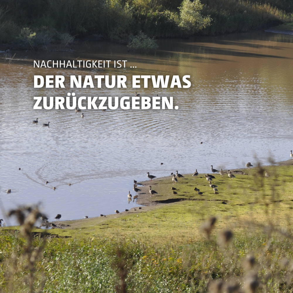 Nachhaltigkeit ist, der Natur etwas zurückzugeben.