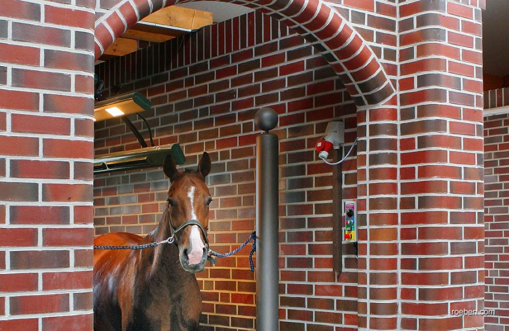 Pferd steht in einem gemauerten Stall mit roten Ziegelsteinen.