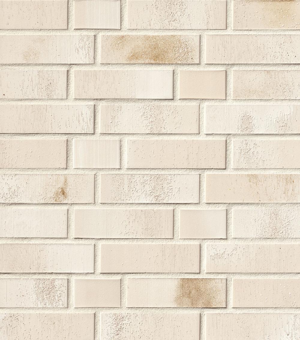 Backsteinmauer mit cremefarbenen Ziegeln und dezenten Verfärbungen.