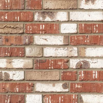 Klinker WIESMOOR 50-50 weißbunt-kohle